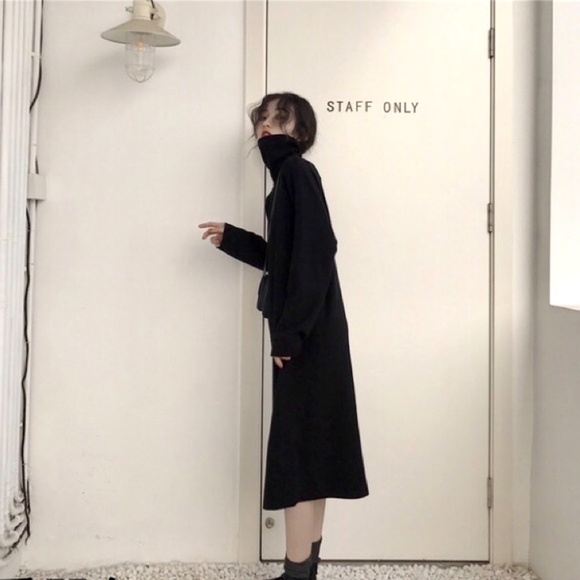 Brand-new brown turtle neck long sleeve dress - Picture 4 of 5